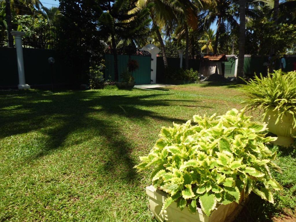 Villa W Bentota Dış mekan fotoğraf